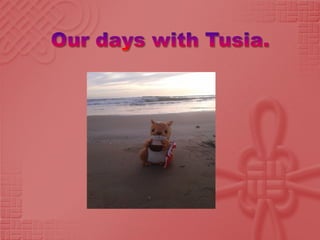 Our days with Tusia