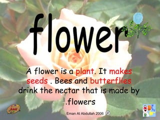 23
A flower is a plant. It makes
seeds . Bees and butterflies
drink the nectar that is made by
flowers.
Eman Al Abdullah 2006
 