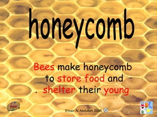 34
Bees make honeycomb
to store food and
shelter their young.
Eman Al Abdullah 2006
 