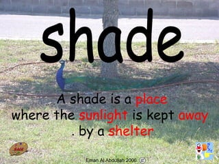56
A shade is a place
where the sunlight is kept away
by a shelter.
Eman Al Abdullah 2006
 