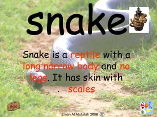 61
Snake is a reptile with a
long narrow body and no
legs. It has skin with
scales.
Eman Al Abdullah 2006
 
