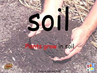 63
Plants grow in soil.
Eman Al Abdullah 2006
 