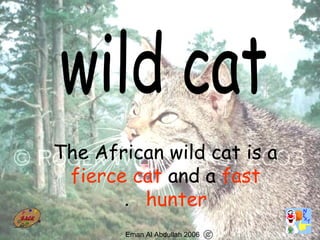 74
The African wild cat is a
fierce cat and a fast
hunter.
Eman Al Abdullah 2006
 