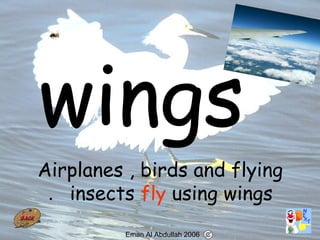 75
Airplanes , birds and flying
insects fly using wings.
Eman Al Abdullah 2006
 