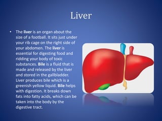 Liver
• The liver is an organ about the
size of a football. It sits just under
your rib cage on the right side of
your abdomen. The liver is
essential for digesting food and
ridding your body of toxic
substances. Bile is a fluid that is
made and released by the liver
and stored in the gallbladder.
Liver produces bile which is a
greenish yellow liquid. Bile helps
with digestion. It breaks down
fats into fatty acids, which can be
taken into the body by the
digestive tract.
 