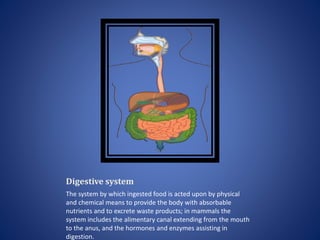 Digestive system
The system by which ingested food is acted upon by physical
and chemical means to provide the body with absorbable
nutrients and to excrete waste products; in mammals the
system includes the alimentary canal extending from the mouth
to the anus, and the hormones and enzymes assisting in
digestion.
 