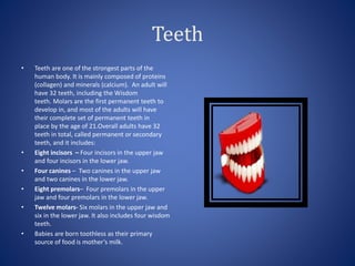 Teeth
• Teeth are one of the strongest parts of the
human body. It is mainly composed of proteins
(collagen) and minerals (calcium). An adult will
have 32 teeth, including the Wisdom
teeth. Molars are the first permanent teeth to
develop in, and most of the adults will have
their complete set of permanent teeth in
place by the age of 21.Overall adults have 32
teeth in total, called permanent or secondary
teeth, and it includes:
• Eight incisors – Four incisors in the upper jaw
and four incisors in the lower jaw.
• Four canines – Two canines in the upper jaw
and two canines in the lower jaw.
• Eight premolars– Four premolars in the upper
jaw and four premolars in the lower jaw.
• Twelve molars- Six molars in the upper jaw and
six in the lower jaw. It also includes four wisdom
teeth.
• Babies are born toothless as their primary
source of food is mother’s milk.
 