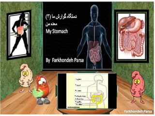 Our Digestiv System-3