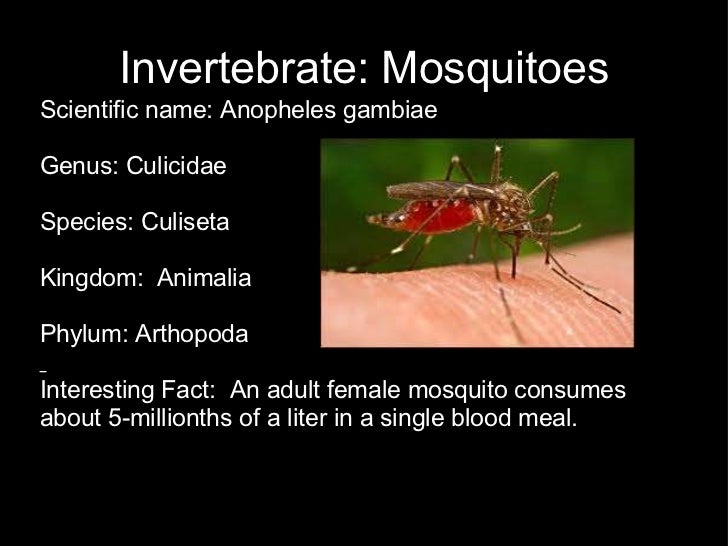 our digital field guide video for bio our digital field guide video for bio