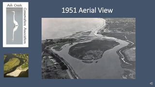 1951 Aerial View
View of Great Marsh Island (Palmquist, 1955)
 