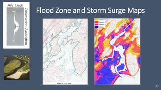 Flood Zone and Storm Surge Maps
 