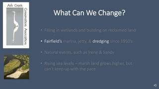 What Can We Change?
• Filling in wetlands and building on reclaimed land
• Fairfield’s marina, jetty, & dredging since 1950’s
• Natural events, such as Irene & Sandy
• Rising sea levels – marsh land grows higher, but
can’t keep up with the pace
 