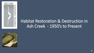 Habitat Restoration & Destruction in
Ash Creek - 1950’s to Present
 