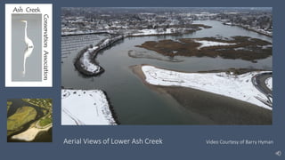 Aerial Views of Lower Ash Creek Video Courtesy of Barry Hyman
 