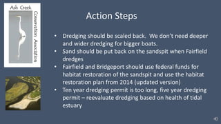 Action Steps
• Dredging should be scaled back. We don’t need deeper
and wider dredging for bigger boats.
• Sand should be put back on the sandspit when Fairfield
dredges
• Fairfield and Bridgeport should use federal funds for
habitat restoration of the sandspit and use the habitat
restoration plan from 2014 (updated version)
• Ten year dredging permit is too long, five year dredging
permit – reevaluate dredging based on health of tidal
estuary
 