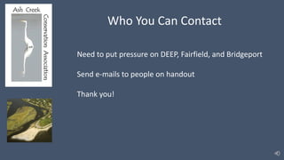 Who You Can Contact
Need to put pressure on DEEP, Fairfield, and Bridgeport
Send e-mails to people on handout
Thank you!
 