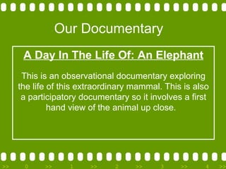 Our Documentary A Day In The Life Of: An Elephant This is an observational documentary exploring the life of this extraordinary mammal. This is also a participatory documentary so it involves a first hand view of the animal up close.  