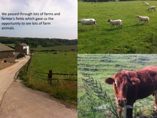 We passed through lots of farms and
farmer’s fields which gave us the
opportunity to see lots of farm
animals.
 