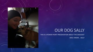 OUR DOG SALLY
THIS IS A POWER POINT PRESENTATION ABOUT THE DAGGIEST
DOG I KNOW… SALLY
 