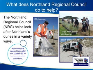 What does Northland Regional Council
do to help?
The Northland
Regional Council
(NRC) helps look
after Northland’s
dunes in a variety of
ways.
How does the
council look after
our coast? Go to
www.nrc.govt.nz
to find out.
Oil clean-up
Beach profile survey
Taipā Area School
planting day
 