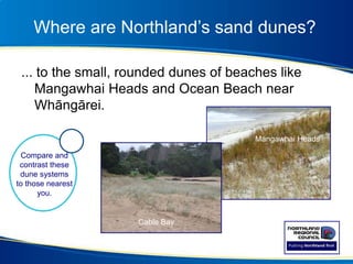 Where are Northland’s sand dunes?
... to the small, rounded dunes of beaches like
Mangawhai Heads and Ocean Beach near
Whāngārei.
Mangawhai Heads
Compare and
contrast these
dune systems
to those nearest
you.
Ocean Beach
Cable Bay
 