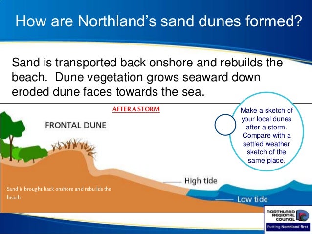 Our dunes