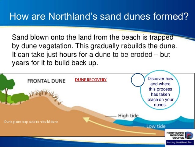 How Is Sand Formed Wehelpcheapessaydownload web fc2 how-is-sand-formed-wehelpcheapessaydownload-web-fc2