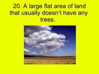 20. A large flat area of land that usually doesn’t have any  trees.  