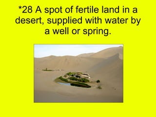 *28 A spot of fertile land in a desert, supplied with water by a well or spring. 