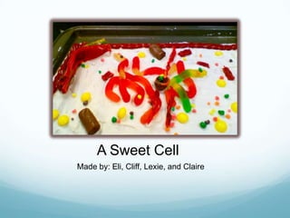A Sweet Cell
Made by: Eli, Cliff, Lexie, and Claire
 
