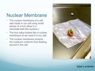 Our edible cell candi | PPTX
