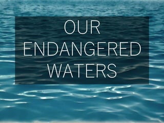 OUR
ENDANGERED
WATERS
 