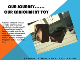 OUR JOURNEY……
  OUR ENRICHMENT TOY

We chose a Cheetah because
we had a lot of knowledge
about what a cheetah does. It’s
a unique fast and powerful
animal to make a toy for. We
chose to make a gazelle out of
cardboard for the cheetah,
because cheetah’s main prey is
the gazelle and we hung it to a
tree.




                            BY JORJA, ETHAN, ERICA, AND JAYDEN
 