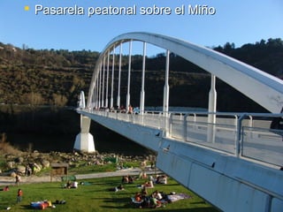  Pasarela peatonal sobre el Miño
 