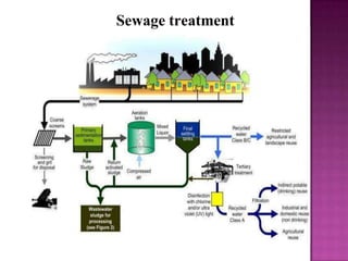 Sewage treatment
 