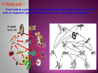 Food web is a group of several interconnected food chains. In a food
web an organism gets food from more than one group of organisms.
 