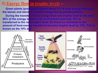 Green plants (producers) absorb about 1% of solar energy falling on
the leaves and stores it as food energy during photosynthesis.
During the transfer of food energy from one trophic level to the next,
90% of the energy is lost to the environment and only 10% is
transferred to the next trophic level. So there is a decrease in the
amount of food energy transferred at every trophic level by 10%. This is
known as the 10% law.
 