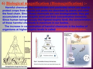 Harmful chemicals like insecticides and pesticides which are used to
protect crops from insects and pests are absorbed by plants and enter
the food chain. Since these chemicals are non biodegradable, they get
accumulated at every trophic level and their concentration increases.
Since human beings occupy the highest trophic level, the concentration
of these harmful chemicals is maximum in our bodies.
The increase in concentration of harmful chemicals in the bodies of
organisms at higher trophic levels is called biological magnification.
 