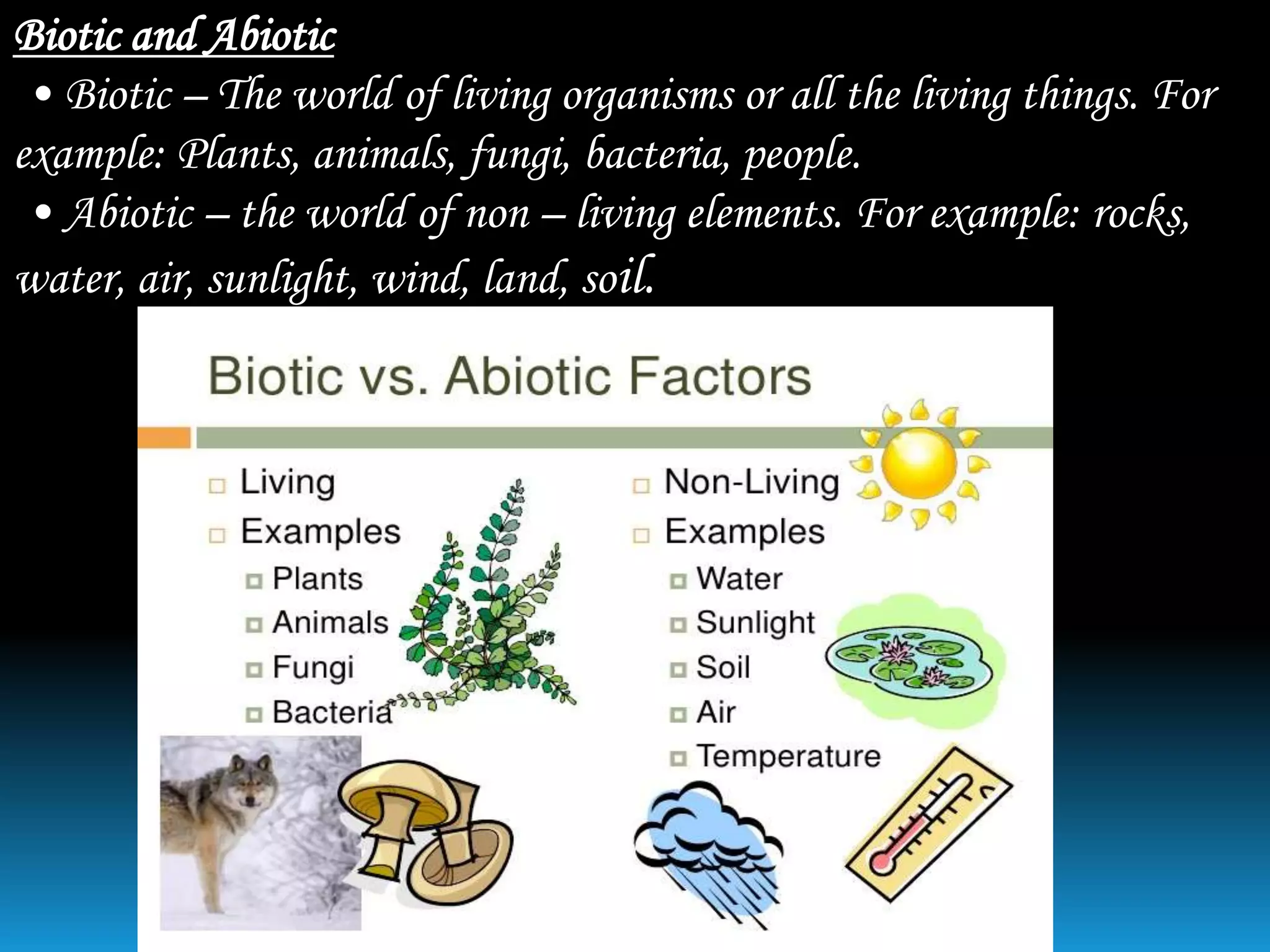 Our environment | PPTX