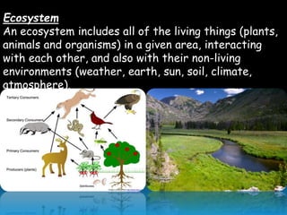 Ecosystem
An ecosystem includes all of the living things (plants,
animals and organisms) in a given area, interacting
with each other, and also with their non-living
environments (weather, earth, sun, soil, climate,
atmosphere).
 