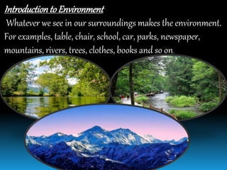 IntroductiontoEnvironment
Whatever we see in our surroundings makes the environment.
For examples, table, chair, school, car, parks, newspaper,
mountains, rivers, trees, clothes, books and so on.
 