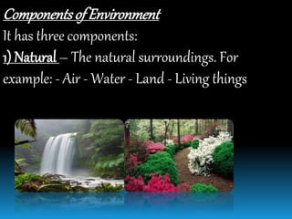 Componentsof Environment
It has three components:
1) Natural – The natural surroundings. For
example: - Air - Water - Land - Living things
 