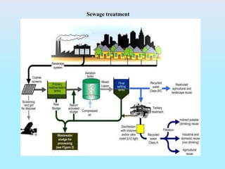 Sewage treatment
 
