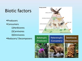 Biotic factors
Producers
Consumers
1)Herbivores
2)Carnivores
3)Omnivores
Reducers/ Decomposers
 