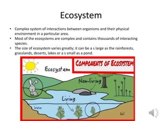 Complex System Human Ecosystem Our environment | PPTX