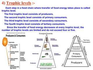 5) Energy flow in trophic levels :-
Green plants (producers) absorb about 1% of solar energy falling on
the leaves and sto...