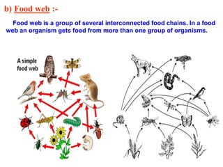 b) Food web :-
Food web is a group of several interconnected food chains. In a food
web an organism gets food from more than one group of organisms.
 