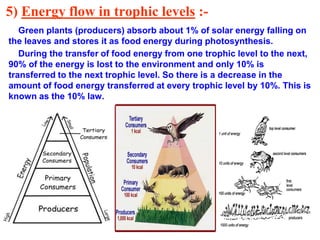 5) Energy flow in trophic levels :-
Green plants (producers) absorb about 1% of solar energy falling on
the leaves and stores it as food energy during photosynthesis.
During the transfer of food energy from one trophic level to the next,
90% of the energy is lost to the environment and only 10% is
transferred to the next trophic level. So there is a decrease in the
amount of food energy transferred at every trophic level by 10%. This is
known as the 10% law.
 