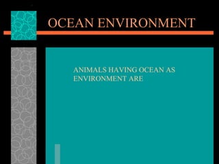 OCEAN ENVIRONMENT ANIMALS HAVING OCEAN AS ENVIRONMENT ARE 