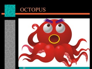 OCTOPUS 